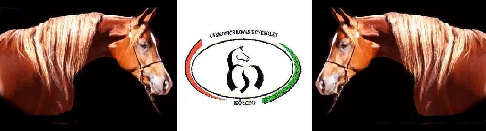 ...::: Csekonics Jzsef Kszegi Lovas Egyeslet :::...